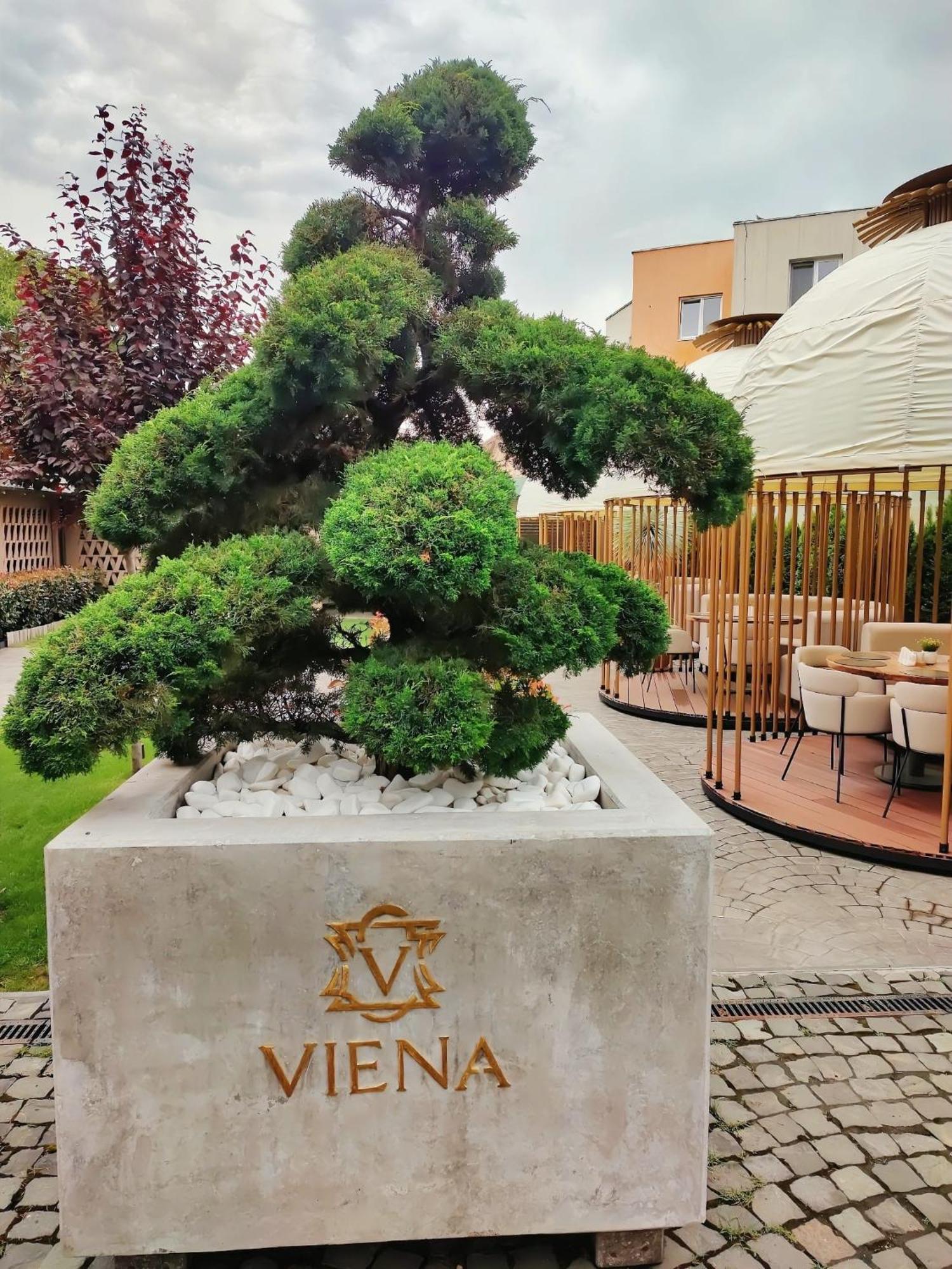 Hotel Viena Satu Mare Zewnętrze zdjęcie